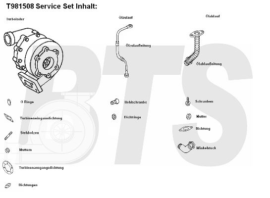 BTS TURBO Компрессор, наддув T981508